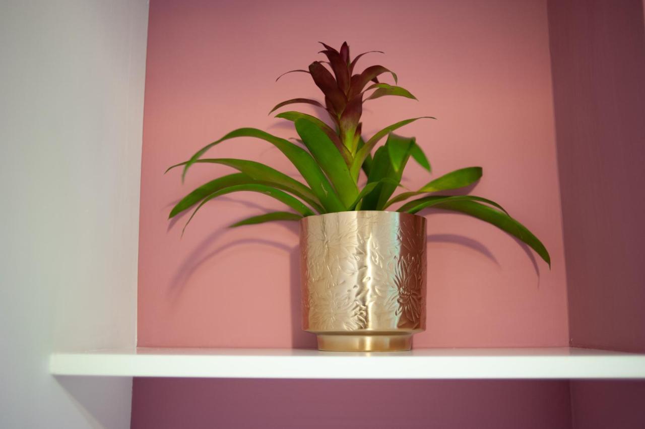 נאפולי San Liborio Bed And Breakfast מראה חיצוני תמונה